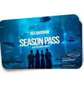 BDO Oceanrium BDO Oceanrium